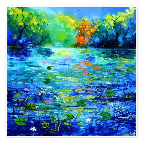 Estanque mágico de Pol Ledent