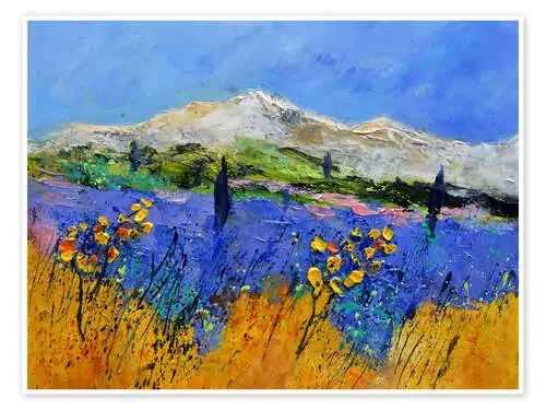My Provence de Pol Ledent