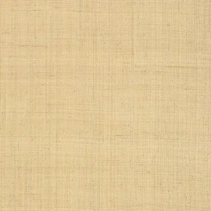 Paja Carolinoa Raffia Thibaut